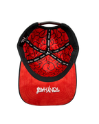 THE DREAM